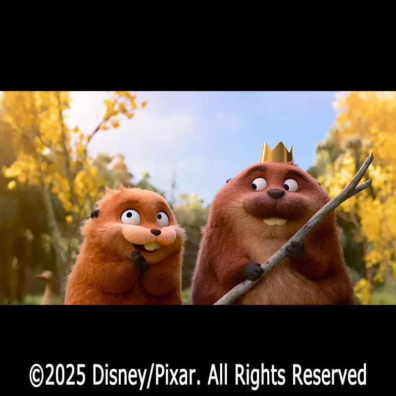 私がビーバーになる時