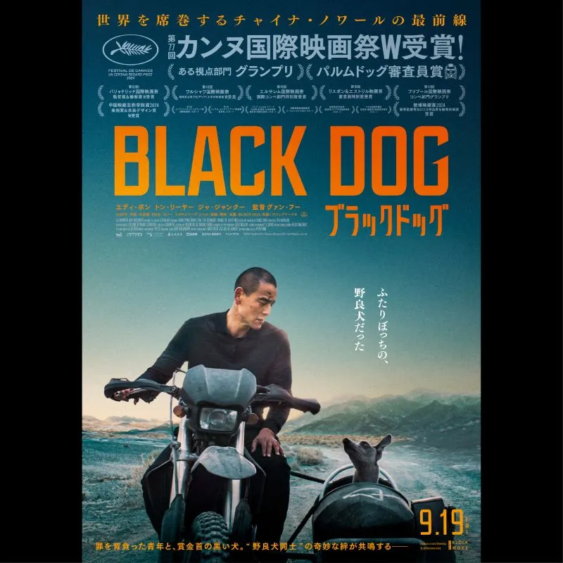ブラックドッグ