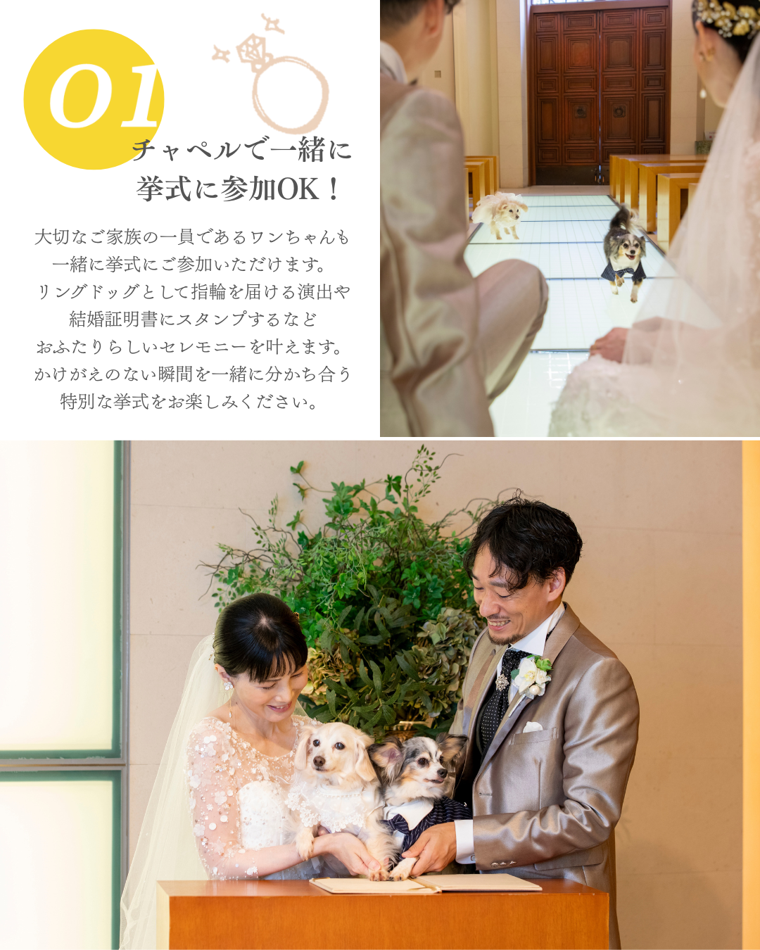 【チャペルで一緒に挙式OK】大切なご家族の一員であるワンちゃんも挙式にご参加いただけます。リングドッグとして指輪を届ける演出や結婚の承認のサインをお願いするなどおふたりらしいセレモニーを叶えます。かけがえのない瞬間を一緒に分かち合う特別な挙式をお楽しみください。