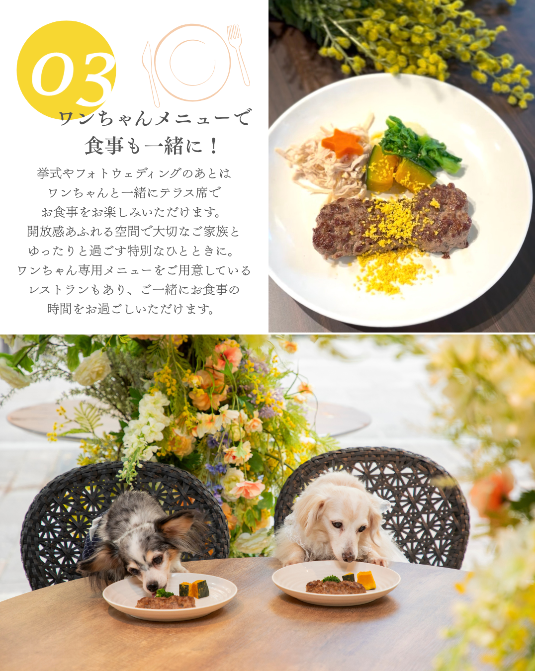 【ワンちゃんメニューで食事も一緒に】挙式やフォトウェディングのあとはワンちゃんと一緒にテラス席でお食事をお楽しみいただけます。開放感のある空間で大切なご家族とゆったりと過ごす特別なひとときにワンちゃん専用メニューをご用意しているレストランもあり、ご一緒にお食事の時間をお過ごしいただけます。