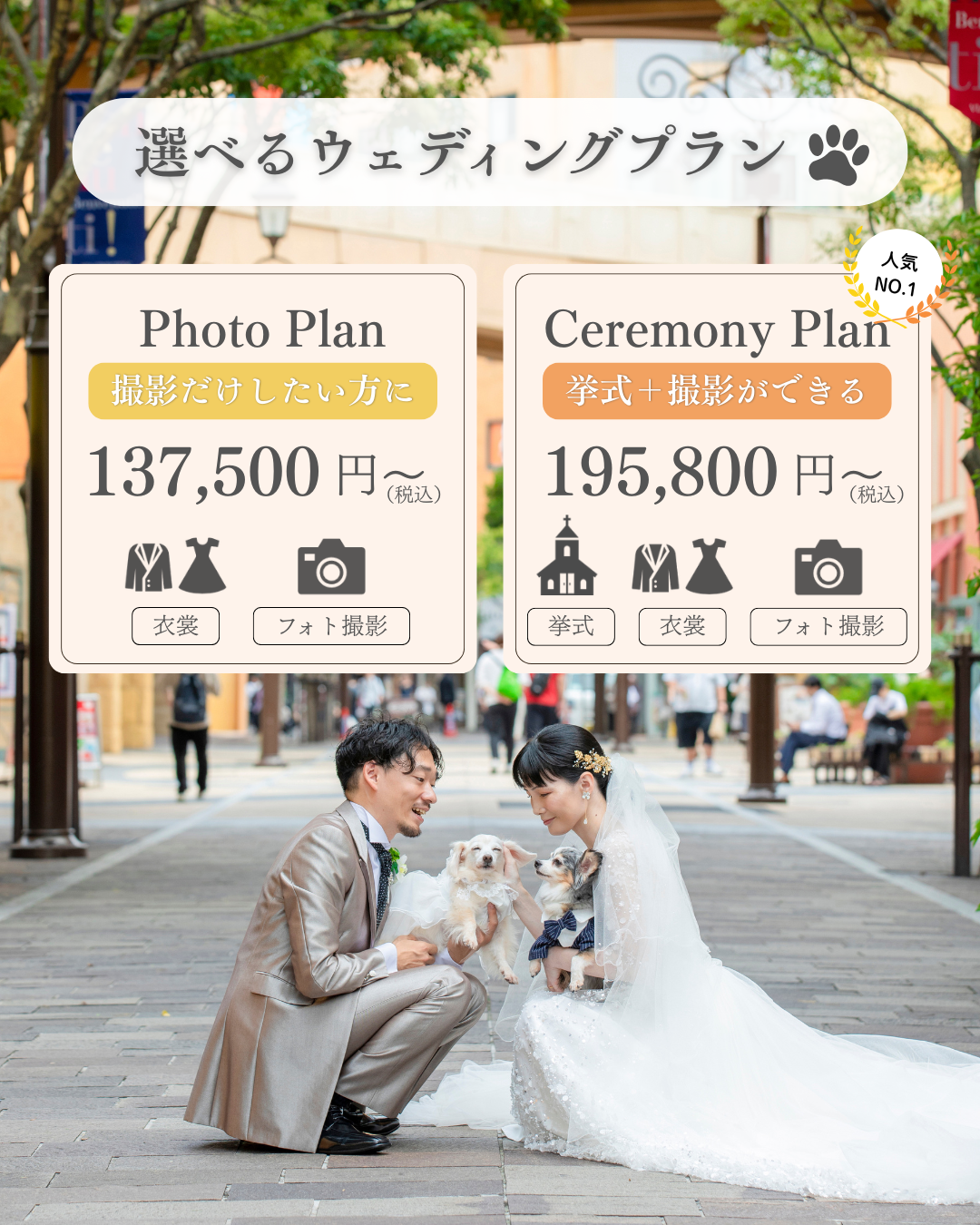 選べるフォトプラン。撮影だけしたい方に。挙式も撮影もしたい方に。