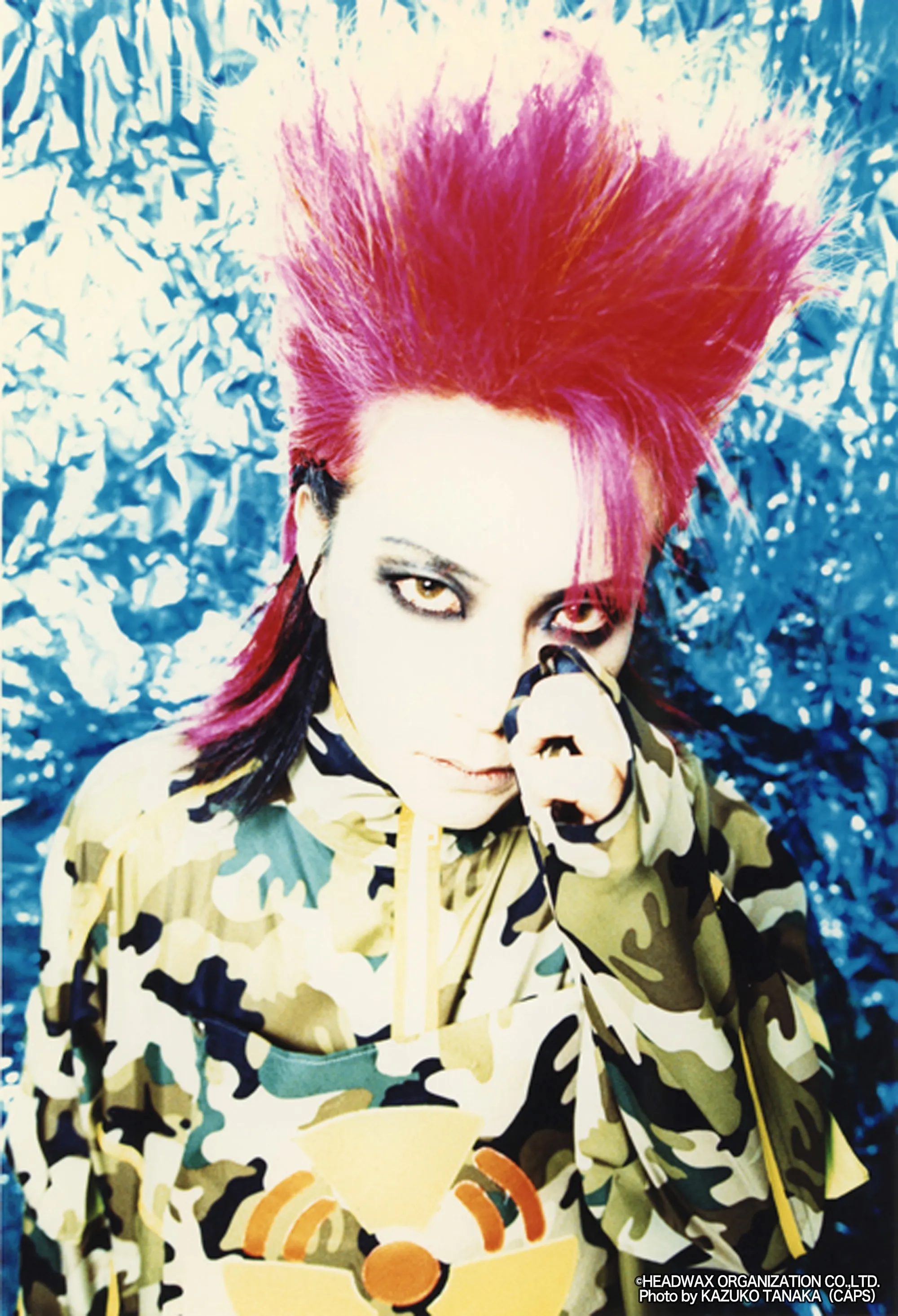 Flyer for hide Birthday Party 2026