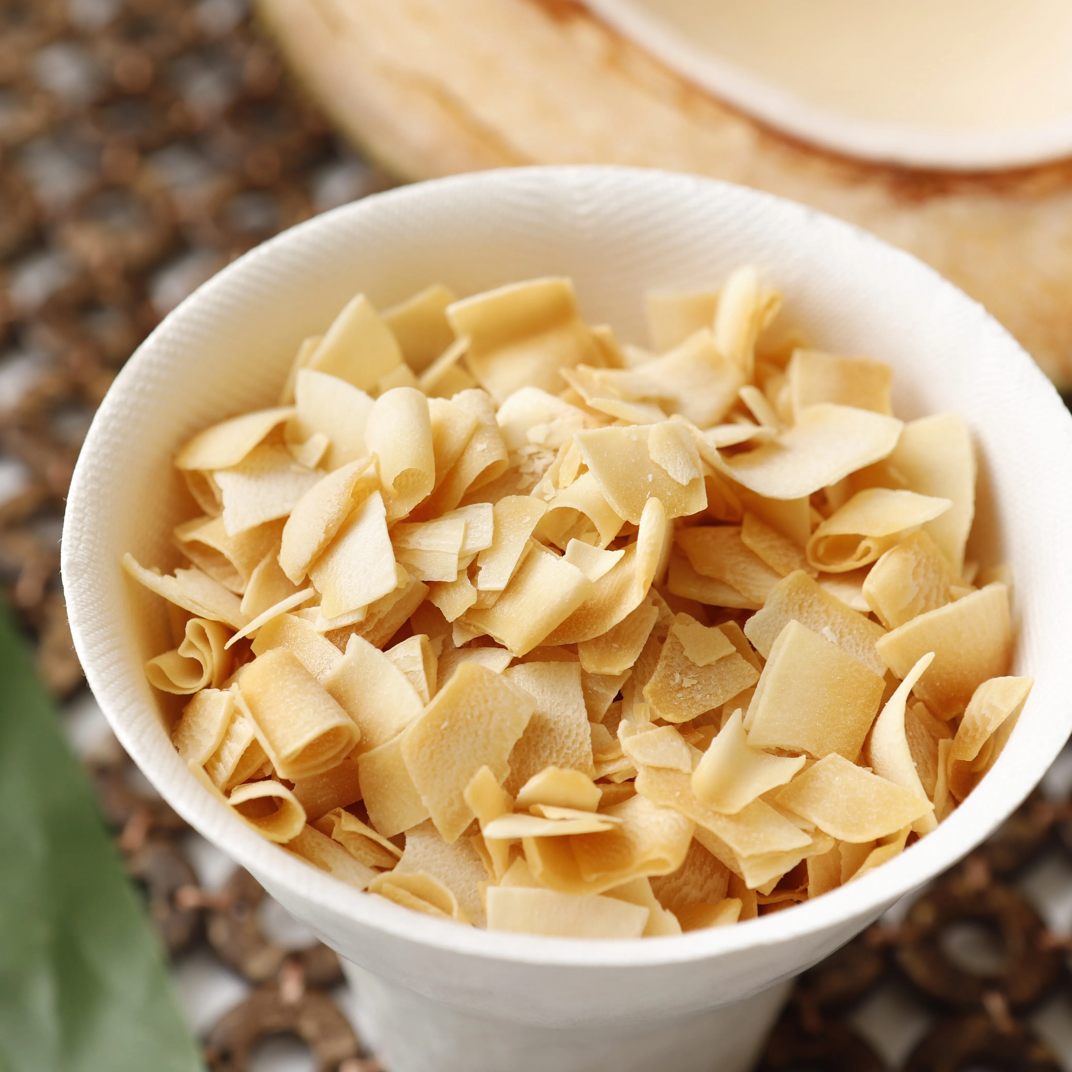 クマココ【1月5日オープン予定】